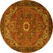 Round Machine Washable Persian Yellow Traditional Rug, wshtr2288yw