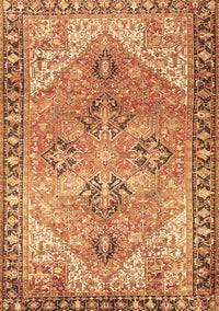 Persian Brown Traditional Rug, tr2289brn