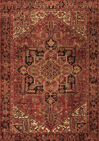 Persian Brown Traditional Rug, tr2290brn