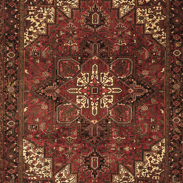 Persian Brown Traditional Rug, tr2292brn