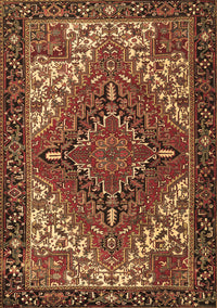 Persian Brown Traditional Rug, tr2293brn