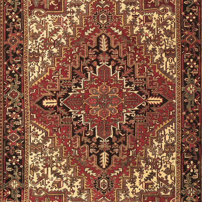 Persian Brown Traditional Rug, tr2293brn