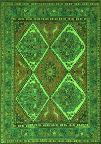 Persian Green Traditional Rug, tr2295grn