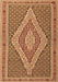 Machine Washable Southwestern Brown Country Rug, wshtr229brn