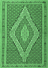 Southwestern Emerald Green Country Rug, tr229emgrn