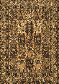 Persian Brown Traditional Rug, tr2301brn