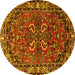 Round Machine Washable Persian Yellow Traditional Rug, wshtr2307yw