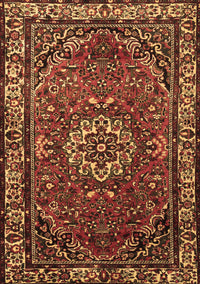 Persian Brown Traditional Rug, tr2308brn