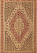 Persian Brown Traditional Rug, tr230brn