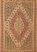 Machine Washable Persian Brown Traditional Rug, wshtr230brn