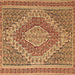 Square Machine Washable Persian Brown Traditional Rug, wshtr230brn