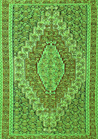 Persian Green Traditional Rug, tr230grn