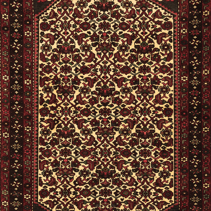 Machine Washable Persian Brown Traditional Rug, wshtr2310brn