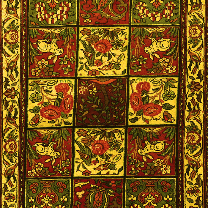 Machine Washable Animal Yellow Traditional Rug, wshtr2316yw