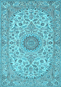 Medallion Light Blue Traditional Rug, tr231lblu