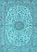 Medallion Light Blue Traditional Rug, tr231lblu