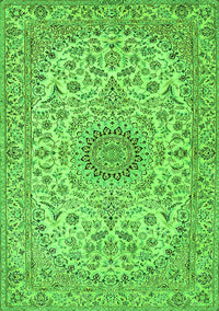 Medallion Green Traditional Rug, tr231grn