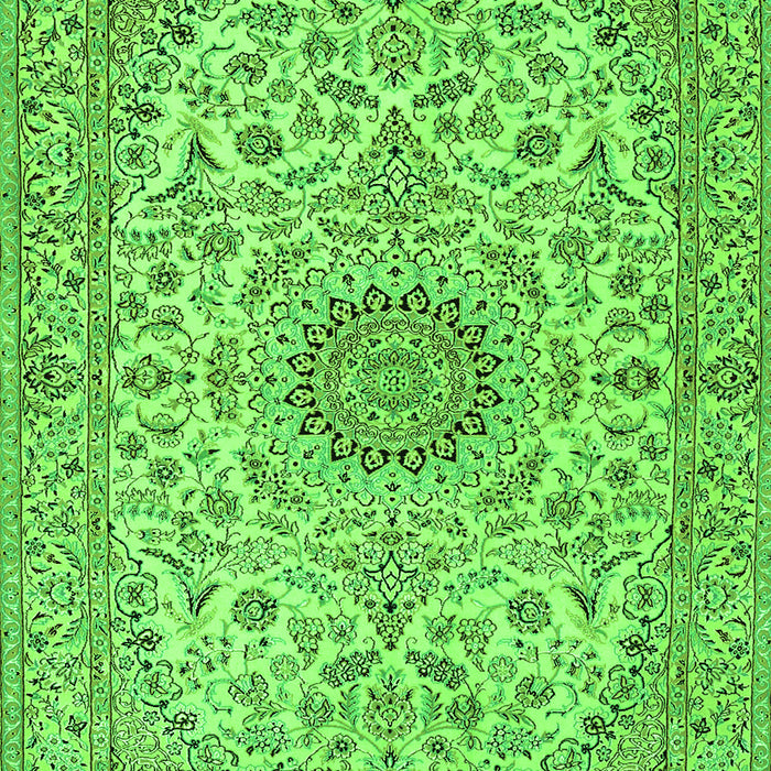 Medallion Green Traditional Rug, tr231grn