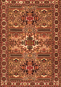 Persian Orange Traditional Rug, tr2321org