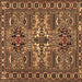 Square Persian Brown Traditional Rug, tr2321brn