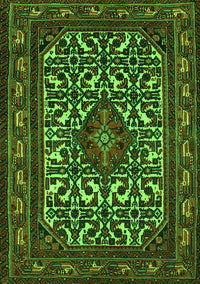 Persian Green Traditional Rug, tr2324grn