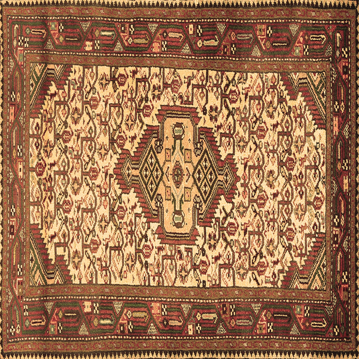 Square Persian Brown Traditional Rug, tr2326brn