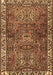 Machine Washable Persian Brown Traditional Rug, wshtr2327brn