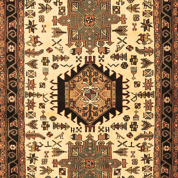 Persian Brown Traditional Rug, tr2329brn