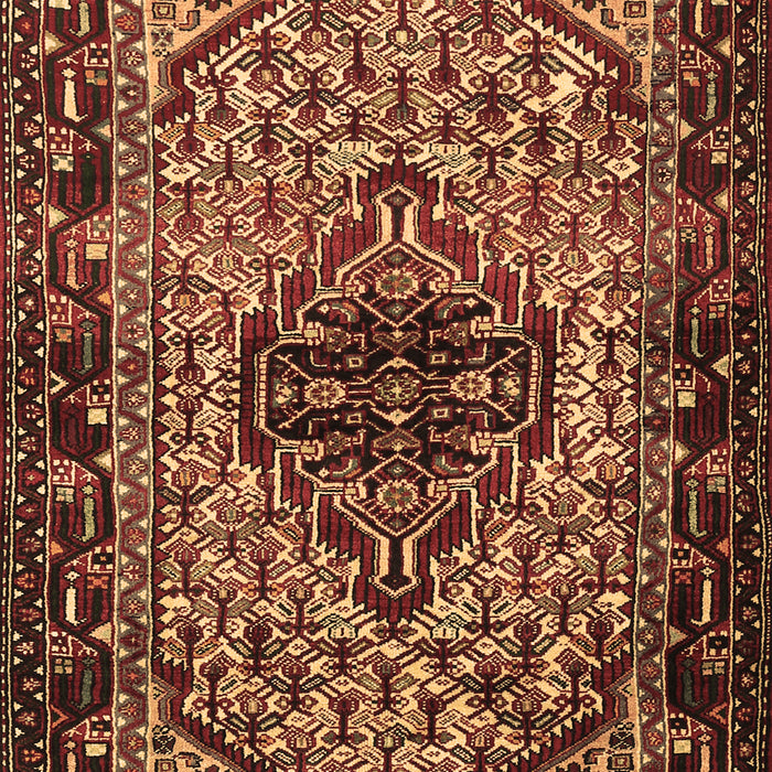 Persian Brown Traditional Rug, tr2330brn