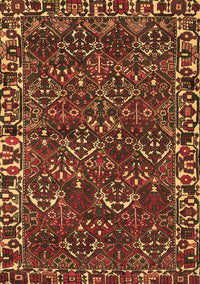 Persian Brown Traditional Rug, tr2333brn