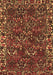 Machine Washable Persian Brown Traditional Rug, wshtr2333brn