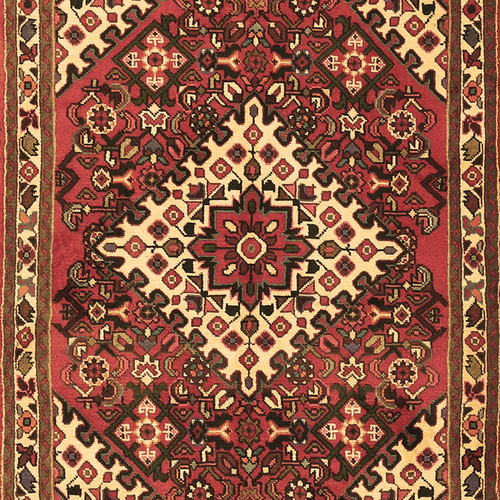 Persian Brown Traditional Rug, tr2337brn