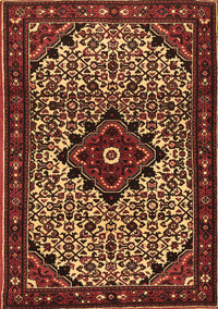 Persian Brown Traditional Rug, tr2338brn