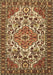 Machine Washable Persian Brown Traditional Rug, wshtr2343brn