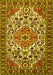 Machine Washable Persian Yellow Traditional Rug, wshtr2343yw