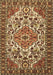Persian Brown Traditional Rug, tr2343brn
