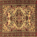 Square Persian Brown Traditional Rug, tr2344brn