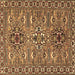 Square Persian Brown Traditional Rug, tr2349brn