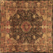 Square Persian Brown Traditional Rug, tr234brn