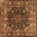 Square Machine Washable Persian Brown Traditional Rug, wshtr234brn