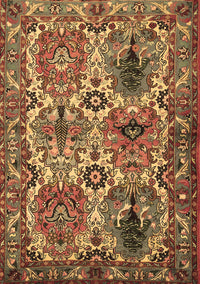 Persian Brown Traditional Rug, tr2350brn