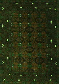 Persian Green Traditional Rug, tr2358grn