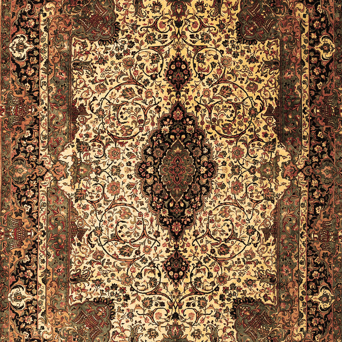 Medallion Brown Traditional Rug, tr235brn