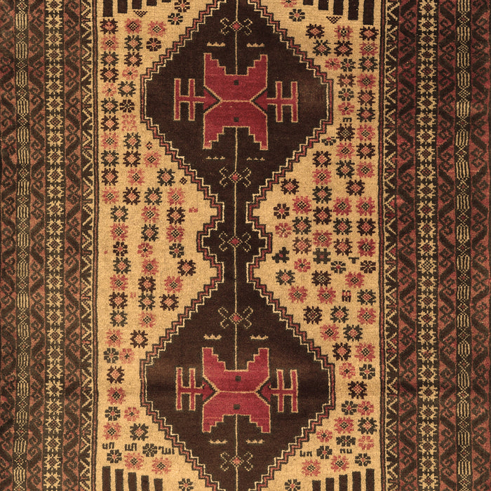 Machine Washable Persian Brown Traditional Rug, wshtr2364brn