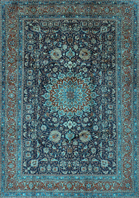 Medallion Light Blue Traditional Rug, tr236lblu