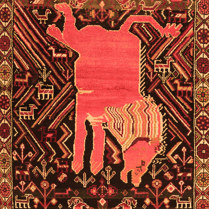 Serging Thickness of Machine Washable Animal Orange Traditional Area Rugs, wshtr2370org