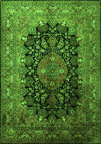 Medallion Green Traditional Rug, tr237grn