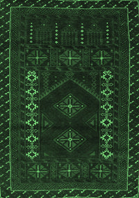 Southwestern Emerald Green Country Rug, tr2380emgrn