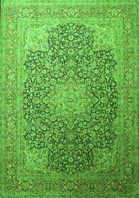 Medallion Green Traditional Rug, tr238grn