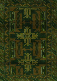 Persian Green Traditional Rug, tr2395grn